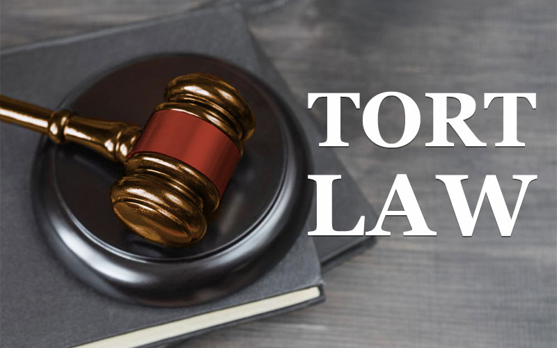 Tort Law Basics For Colorado