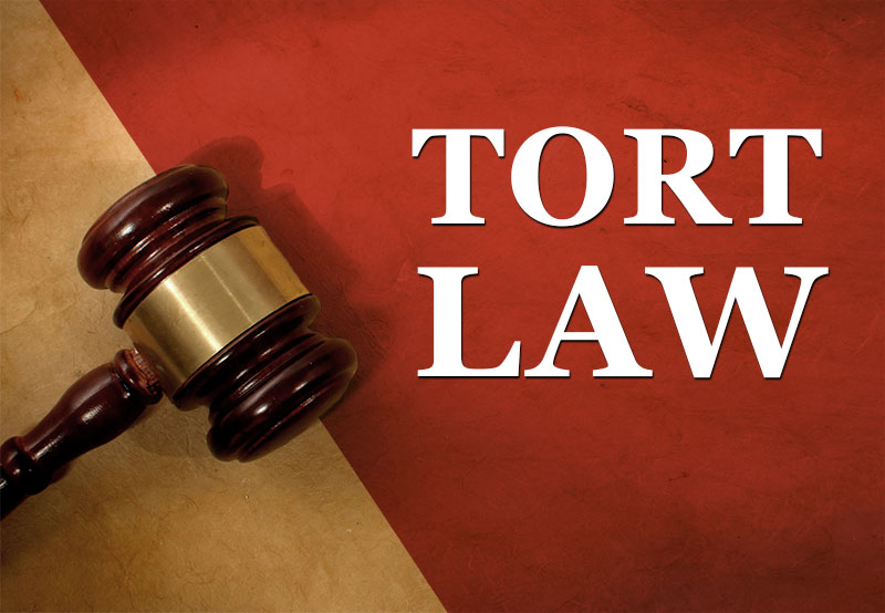 Tort Law Definition And Examples